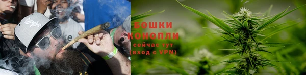 шишки Богданович