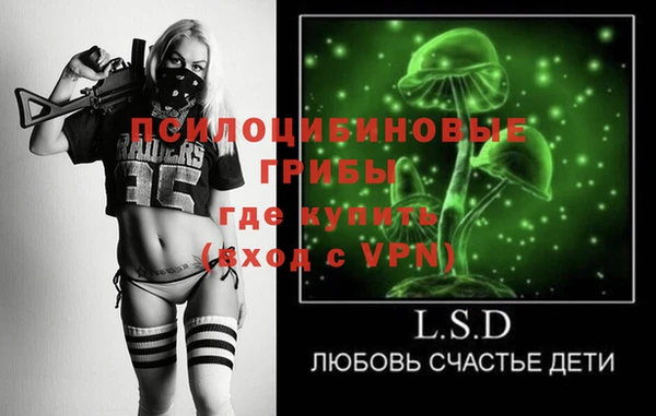 шишки Богданович