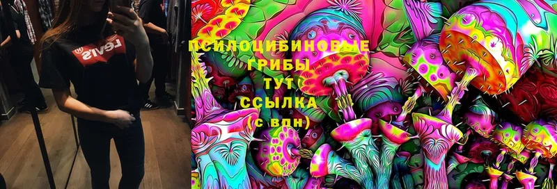 купить  сайты  кракен ССЫЛКА  Псилоцибиновые грибы Psilocybine cubensis  Омск 